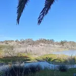 Weisshorn A Maspalomas (Gran Canaria)